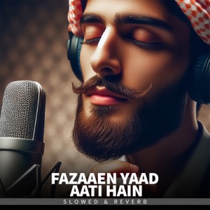 Fazaaen Yaad Aati Hain - Lofi