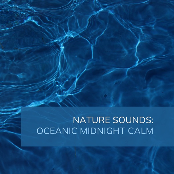 Nature Sounds: Oceanic Midnight Calm