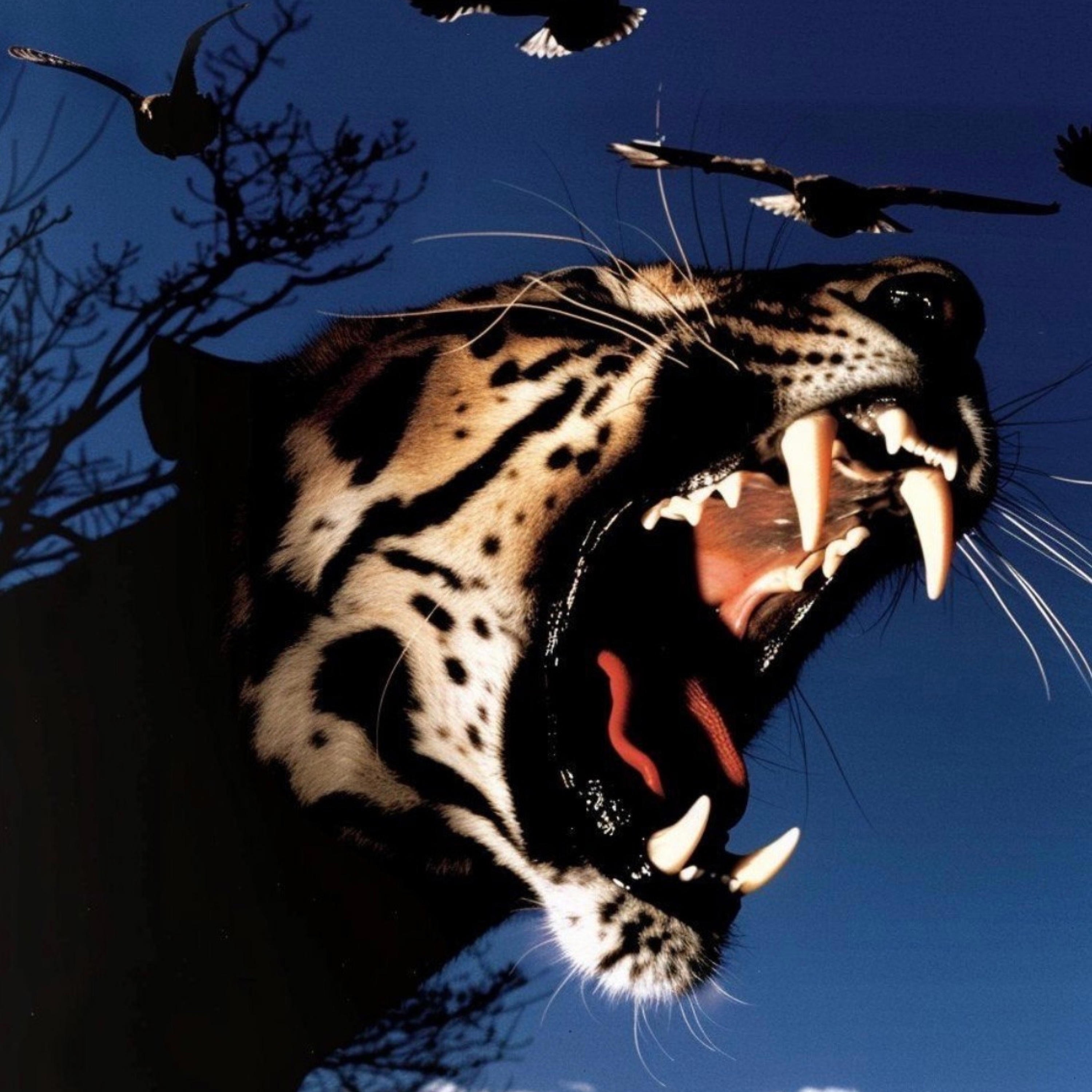 HOW MANY TIMES - Single