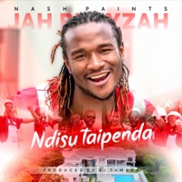 Ndisu Taipenda (feat. Jah Prayzah) - Single - Nash Paints
