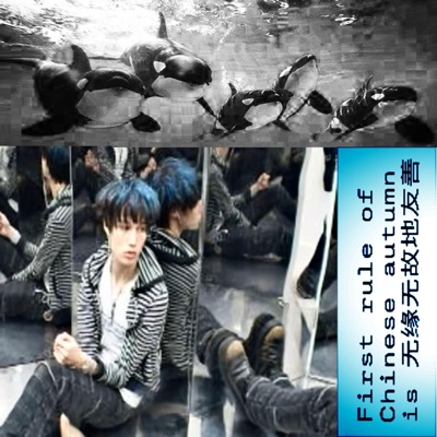 whale sounds to ruin things to - Single