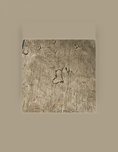 Listen to Nvsty AM, watch music videos, read bio, see tour dates & more!