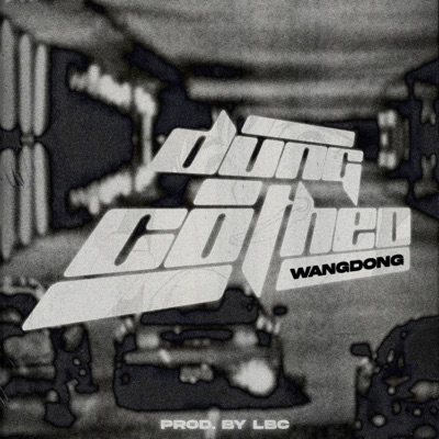 ĐỪNG CỐ THEO - Single