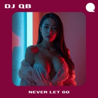 Never Let Go - Single - DJ QB