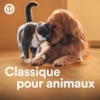 Marko Letonja Cinema Paradiso: Main Theme Classique pour animaux