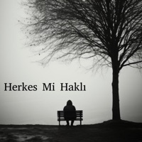 Herkes Mi Haklı (feat. Kehanet) [2008 Edition] - Single - MC Erdem
