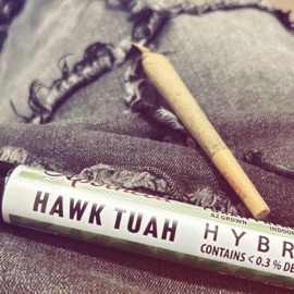 2025 FREESTYLE (feat. V O i D & Sorei) VEDISGONE