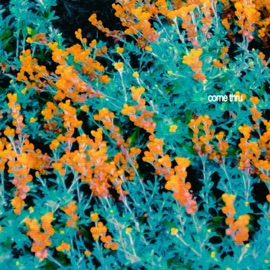 Come Thru (feat. Shantel & Althea Aguel) zugz