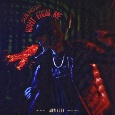 Want From Me - Single