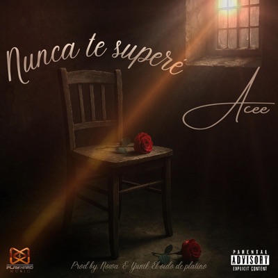Nunca te superé - Single