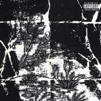 Не стесняясь - Single - Девиантный диалект