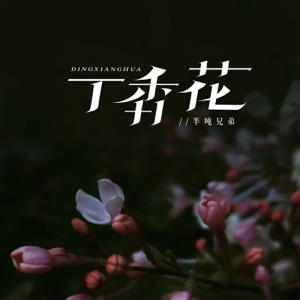 丁香花 (烟嗓版伴奏)