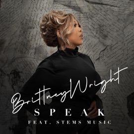 Speak (Radio Edit) Brittney Wright