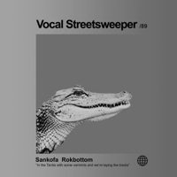 Vocal Streetsweeper (feat. Rokbottom) - Single - Sankofa