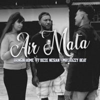 Air Mata (feat. Dizze Nesian & Mr'Crazzy Beat) - Single - Bringin Home