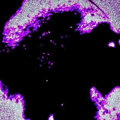 240 (feat. Sidy) - Single