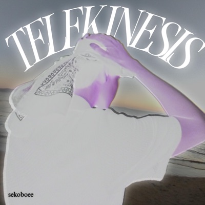 TELEKINESIS (feat. sekoboee) - Single
