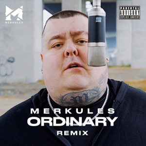 Ordinary (Remix) - Single