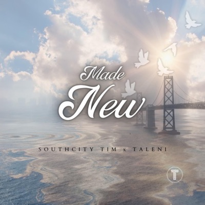 Made New - Single