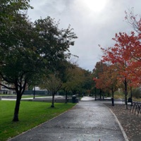 Make Food - Single - NAX