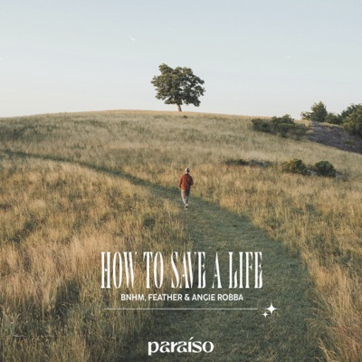 How To Save A Life - Single