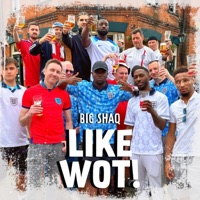 Like Wot! - Single - Big Shaq