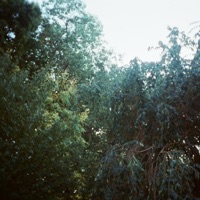 parula (feat. Ben Beal) - Single - Evergreen