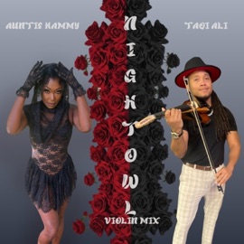 NIGHT OWL (feat. Taqi Ali) [Violin Mix] Auntie Hammy