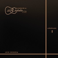 El Papá de la Bachata, Su Legado - Añoñado I - Luis Segura