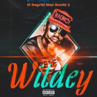EL NEGRITI MAS BONITI 2 - Wildey