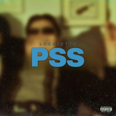 MKZ050 - PSS