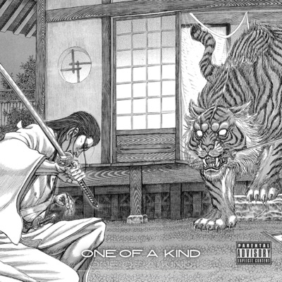 One of a kind (feat. Suleman & Auro) - Single