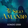 Te sigo Amando