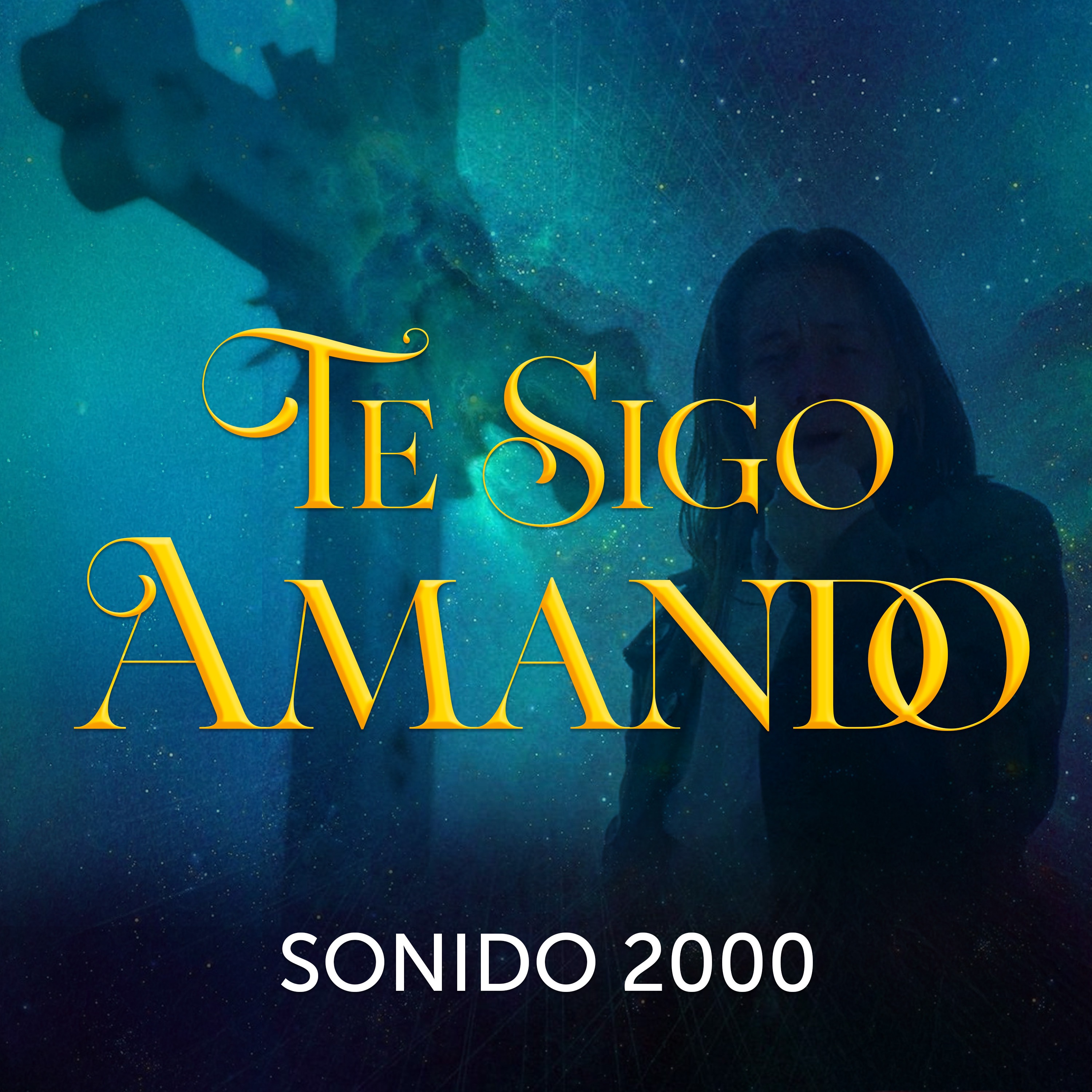 Te Sigo Amando - Single