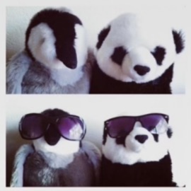 justholdon whyhaze & luvpurp