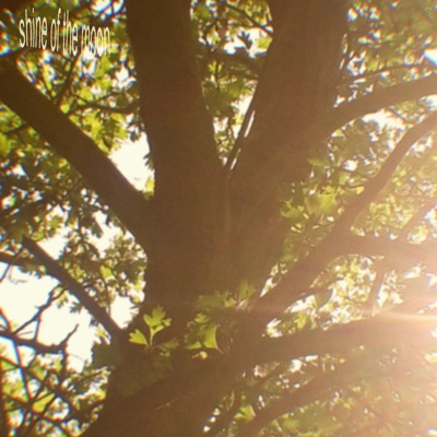 Shine of the Moon (feat. C1arke) - Single