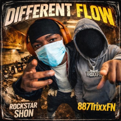 Different Flow (feat. 887TrixxFN) [Remix] - Single