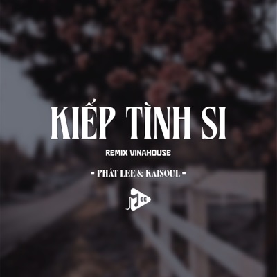 Kiếp Tình Si (Remix Vinahouse) - Single