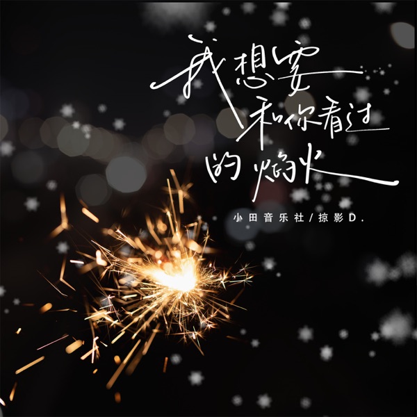 我想要和你看过的焰火 - Single