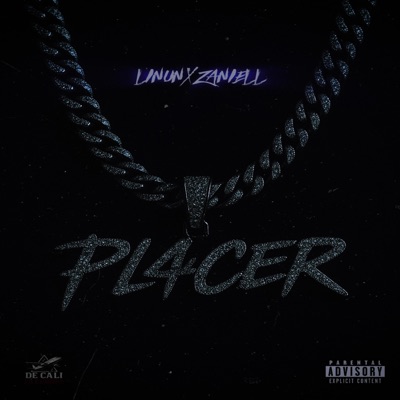 PL4CER - Single