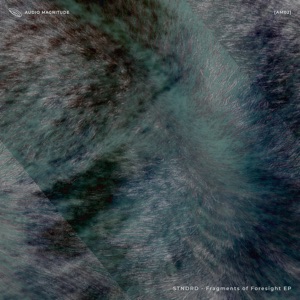 Fragments of Foresight - EP