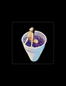 Dombuck$ dinle, müzik videolarını izle, biyografisini oku, tur tarihlerini ve daha fazlasını gör!