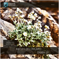 Draba - EP - Matías Delóngaro, Borshulyak & Indigo Man