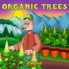 Organic Trees - Single