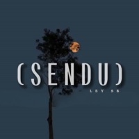 Sendu (feat. Leazzy S.O.B, Faa, Benny Rass, Abiram & Mander) - Single - Ley SB