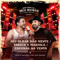 Seu Olhar Não Mente _ Tareco e Mariola _ Espumas ao Vento — Wesley Safadão e Raí Saia Rodada
