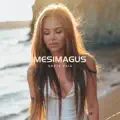 mesimagus