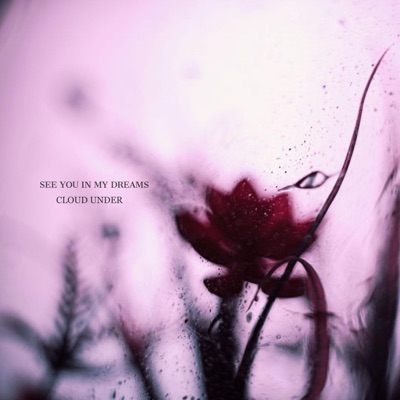 See You in My Dreams - Single