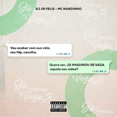 Já Imaginou Se Vaza? - Single