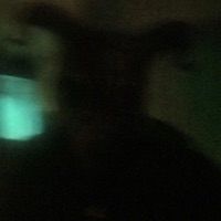 FRIGHT NIGHT - Single - KIRRA47